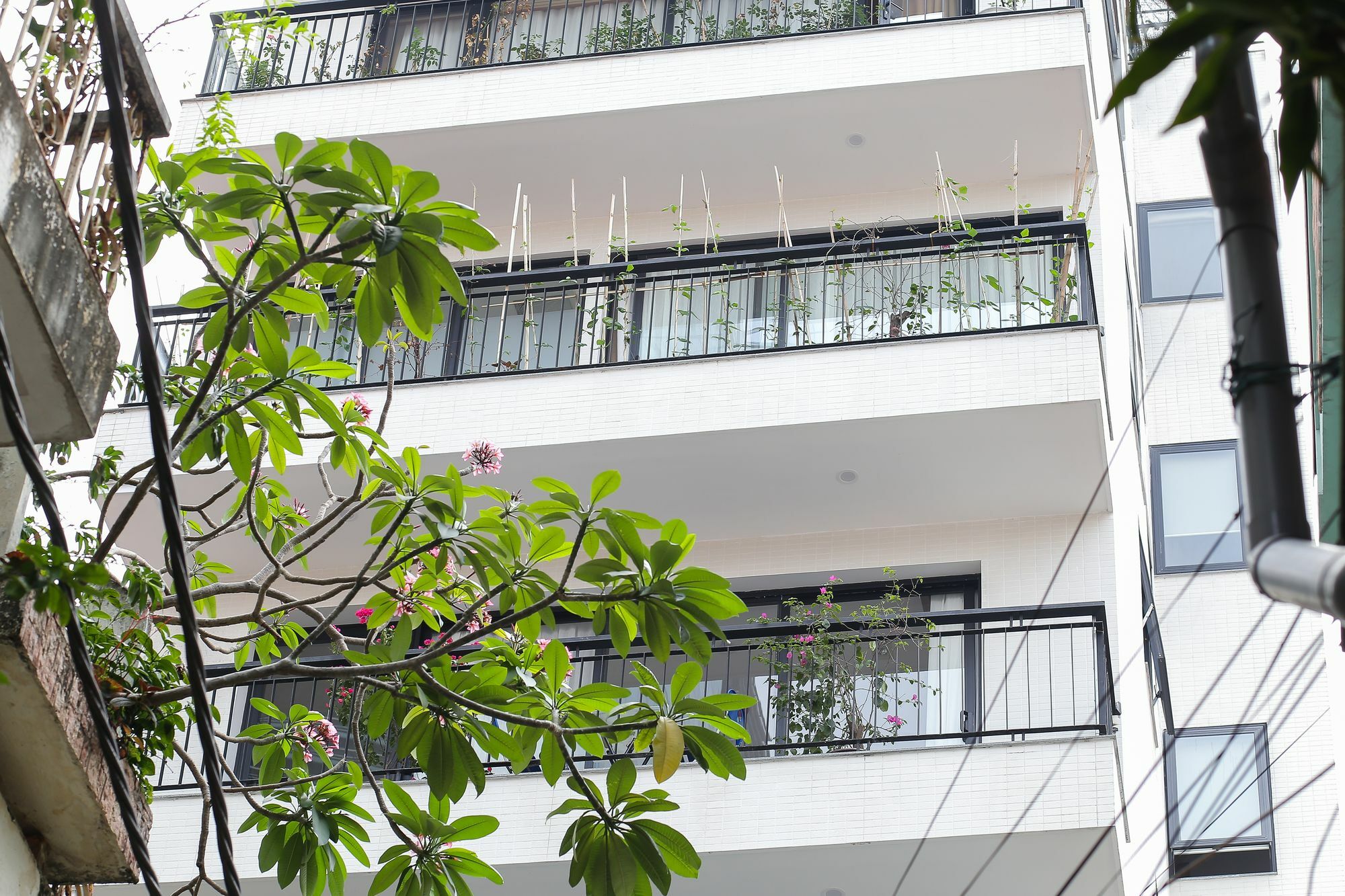 Appartement Quiet Hoang Quoc Viet & Hanoï